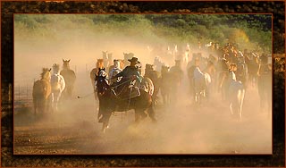 Desert Horseback Riding